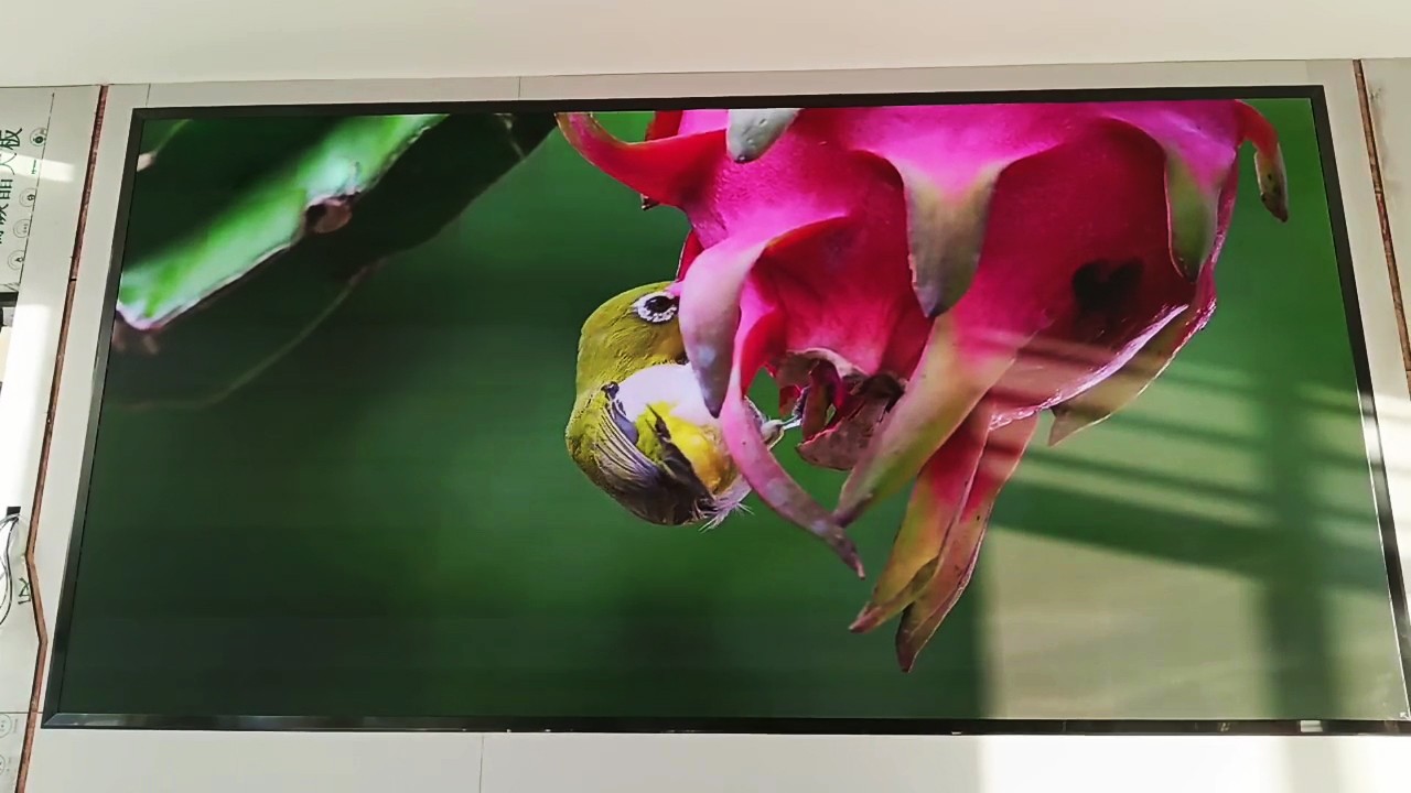 珠海高栏出入境边防检查站